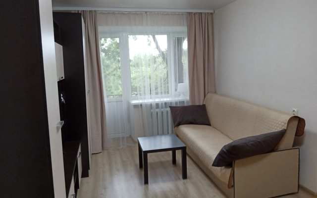 V Tsentre U Reki Pskovy Flat