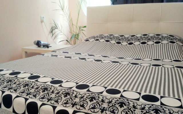 Квартира Двухкомнатная в Историческом Центре Амалиенау 1