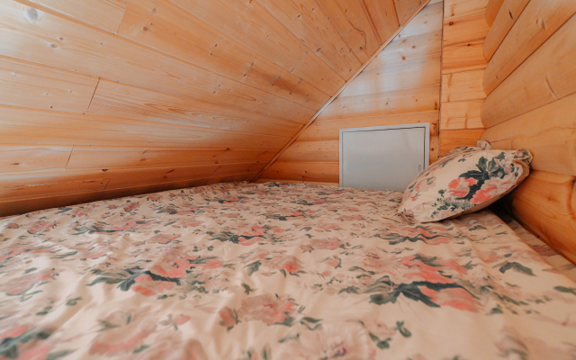 Гостевой Дом Замок в Лесу Пушкинские Горы