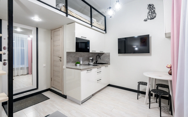 Uyutnaya studiya v tsentre Flat