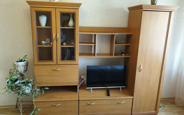 Odnokomnatnaya Flat
