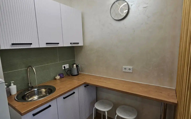 Квартира Зелёная студия