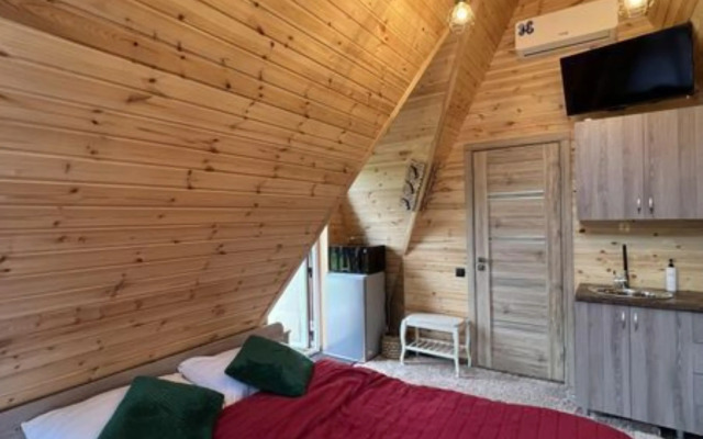 Частный дом Приозерье