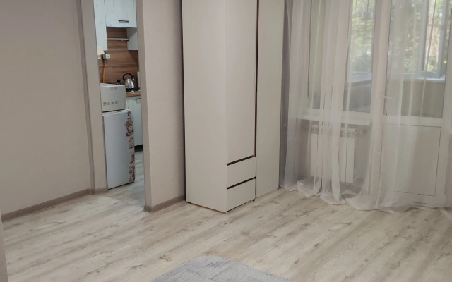 Uyutnaya odnokomnatnaya na Kuybysheva Flat