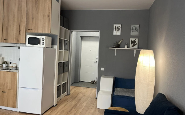 Апартаменты "DaRent Karelia" на Октябрьской 4а