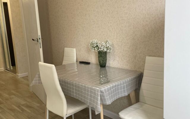 Silver Star Na Gorykogo 96 Flat