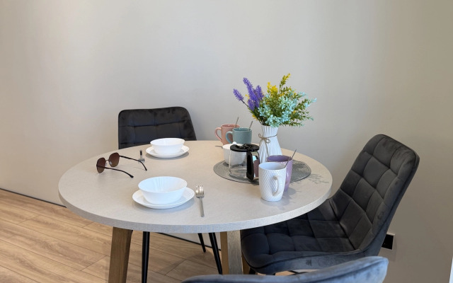 Квартира Люкс Площадь Искусств