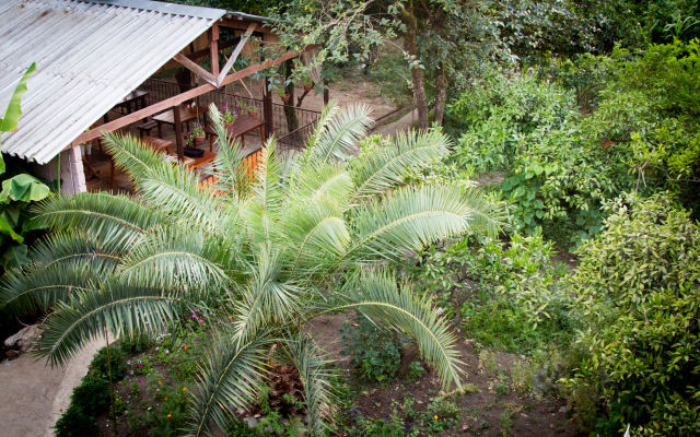 Teremki Recreation Camp