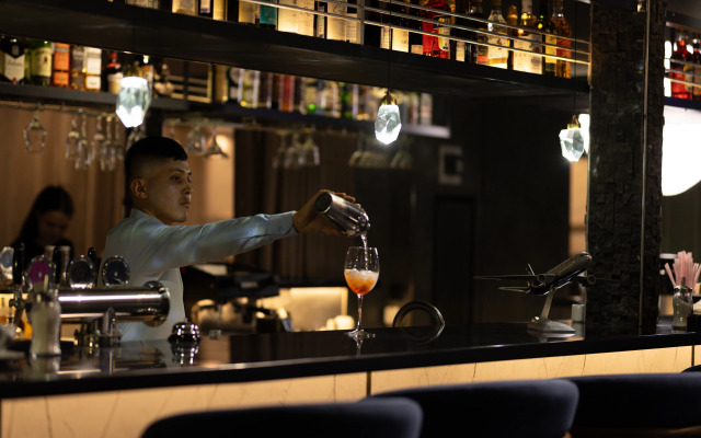 Hotel Aviator Sheremetyevo