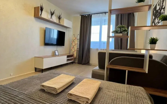 Uyutnaya dlya gostey goroda Flat