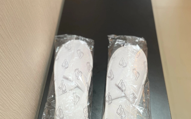 Апартаменты Lomonosov