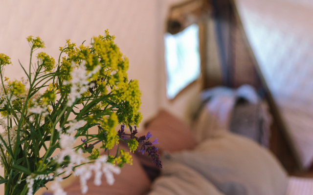 Глэмпинг Нантакет