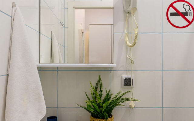 Апартаменты Гости Любят на Владимирской