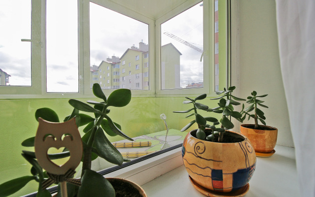 Solnechny Kot Flat