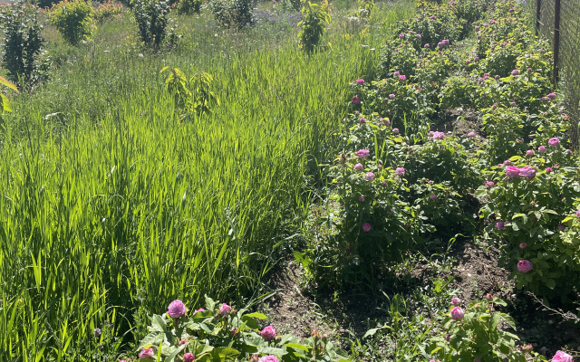 Частный дом Tooi Ecolodge