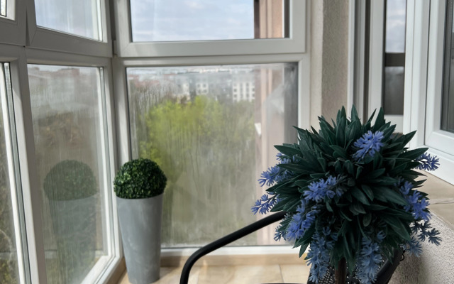 Квартира с видом на старый парк