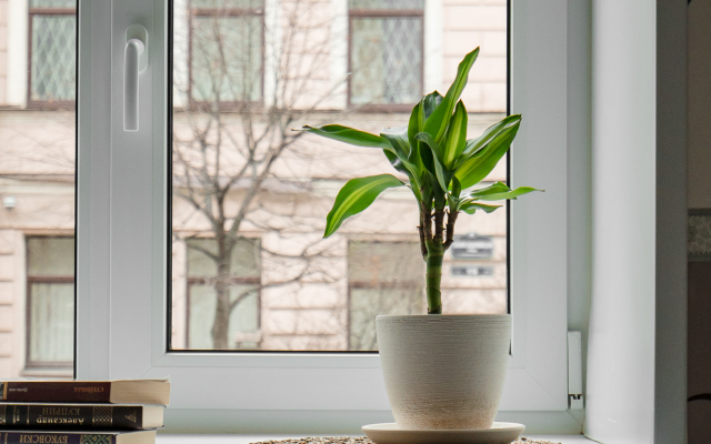 Апартаменты в тихом центре