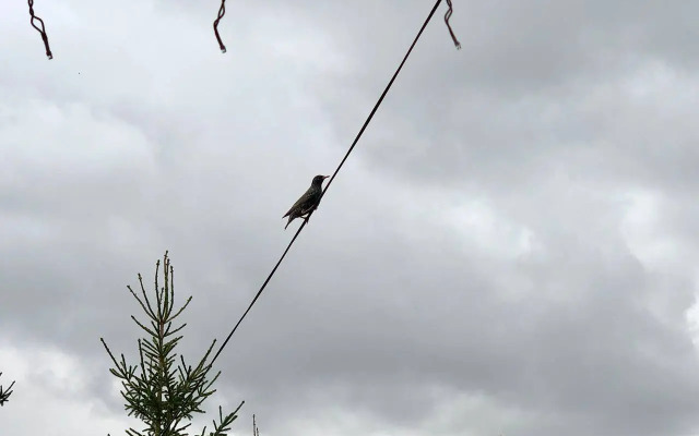 Гостевой дом Экоусадьба Шанти