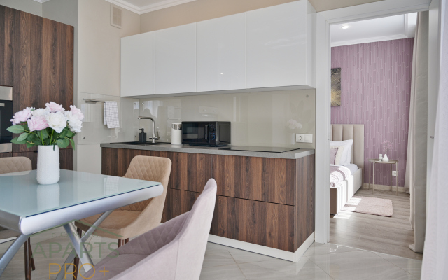Aparts Pro Stilnaya evro 2-kom v centre Samary Flat
