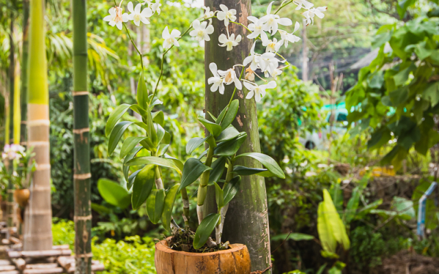 Palmetto Park Condominium