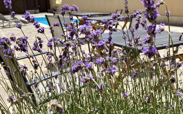 Vikol Guest House