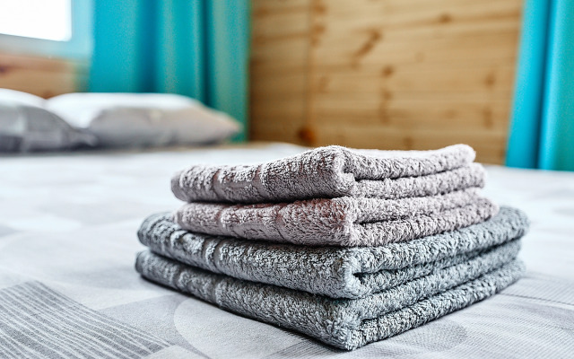 Апартаменты Гостевой дом Булавкиных "На Телецком"