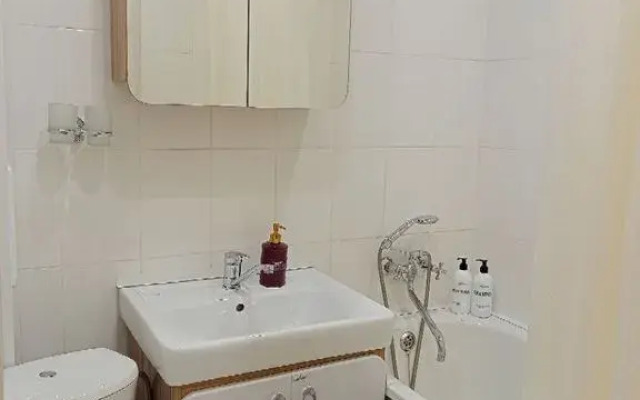 1-Komnatnaya Na Savushkina Flat