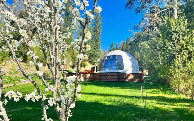 Recreation camp Altay Forest Glamp