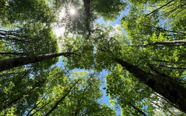 Гостевой дом Ранчо в горах Лаго-Наки