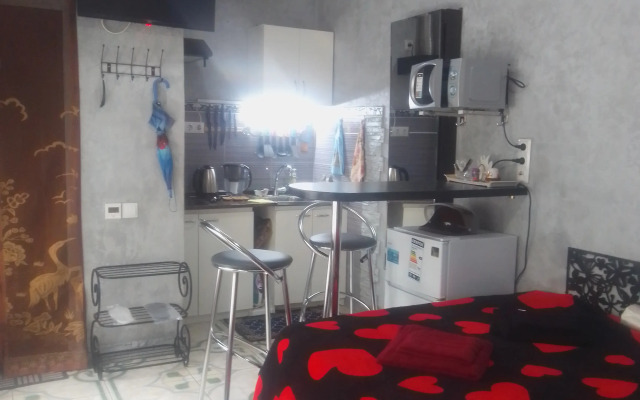 Kompaktnaya Ministudiya Vozle Vokzalov Flat