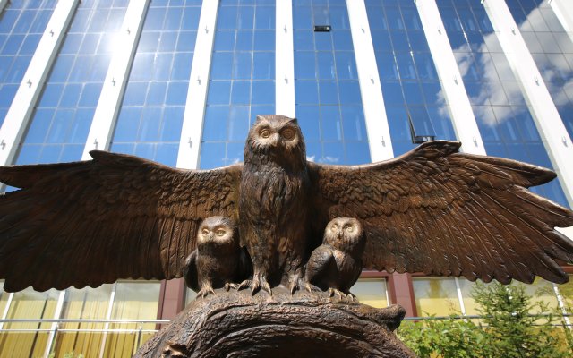 Snowy Owl Hotel