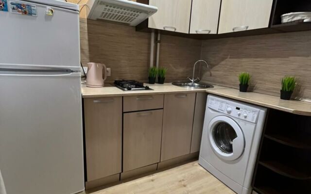 Апартаменты 1-комнатные в Центре Города на Ленина