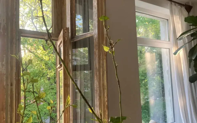 Квартира Уютная в Амалиенау