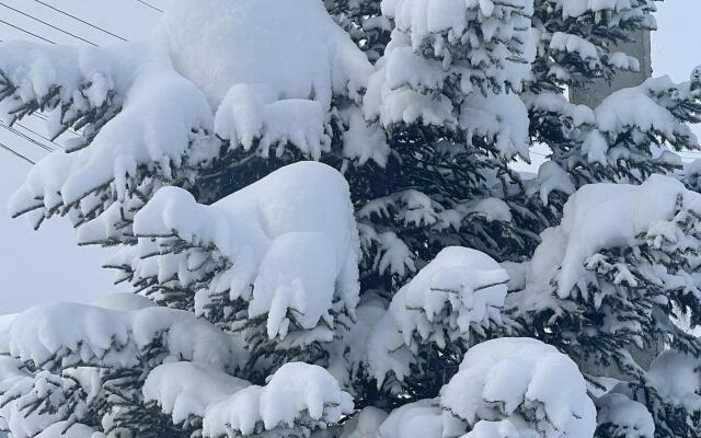 Baikal Best Edelweiss Guest House