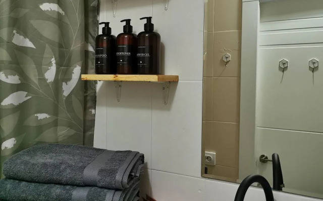 Квартира Евродвушка в центре Владивостока