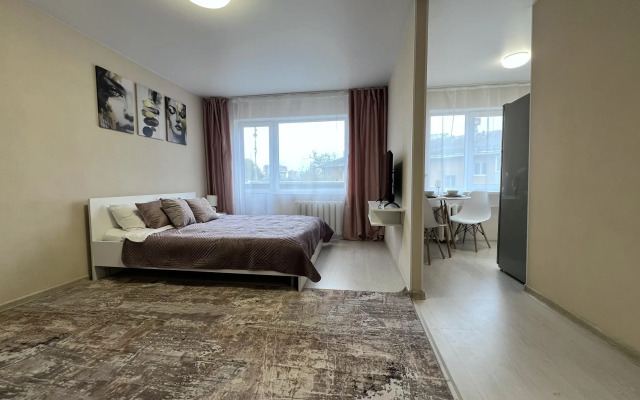 Квартира Однокомнатная на Пальмиро Тольятти 14