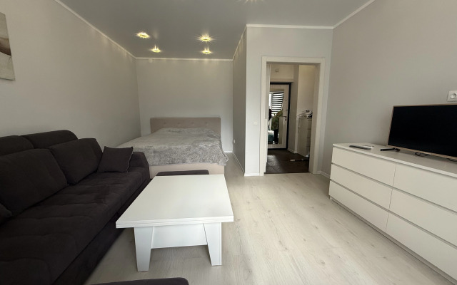 Odnokomnatnaya Ryadom S Tts Mega Flat