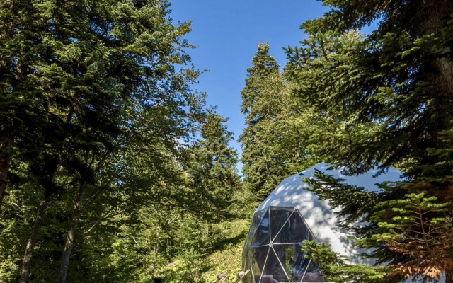 Atmosfera Glamping
