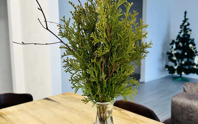 Апартаменты 2-х Комнатная