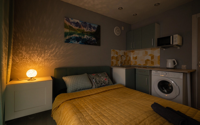 Апартаменты Уютная квартира на Солотчинской