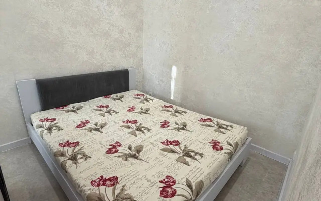 Квартира с евроремонтом и Алисой в центре