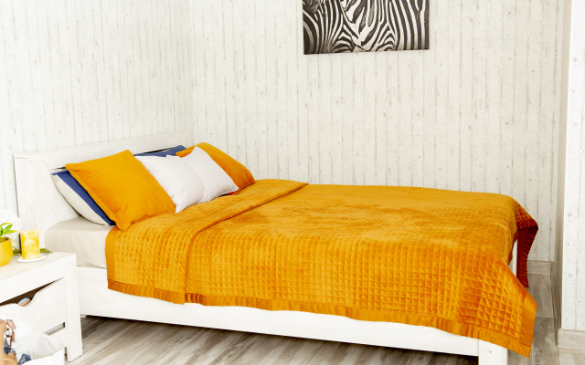 Kaliningrad Apartment