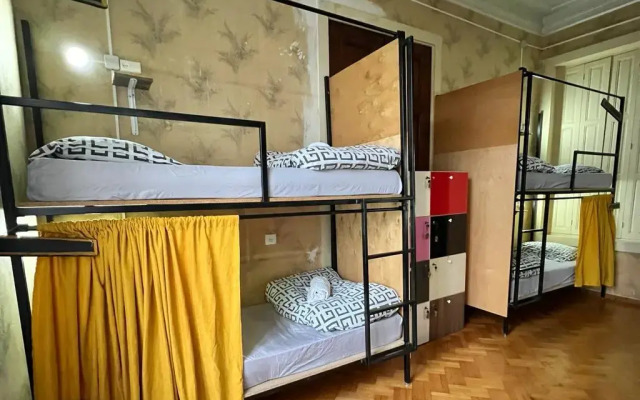 Dingo Backpackers Hostel