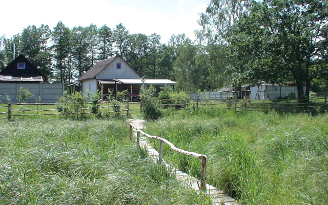 Belovezhskaya Lesnaya Skazka guest house