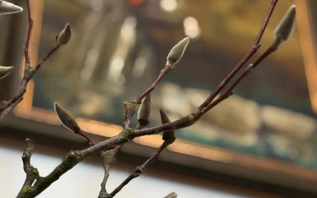 Отель Кристал