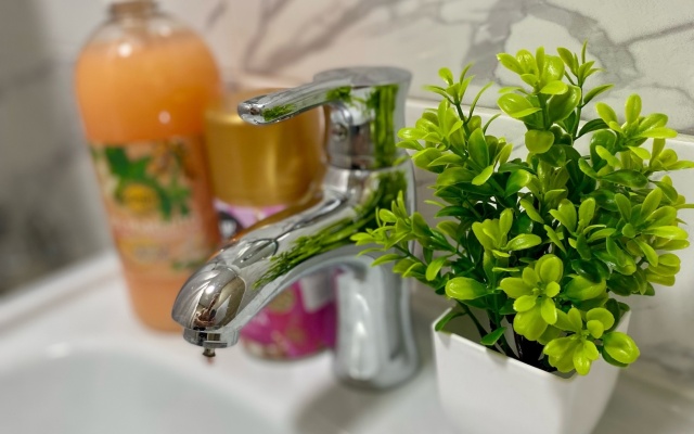 Kvartira v Tsentralnom Rayone Goroda Flat