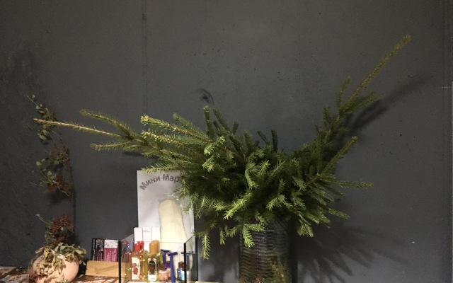 Меблированные комнаты SPB Esenin