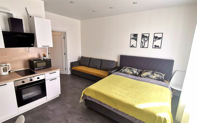 Апартаменты Северное Сияние Новгородская 1 - 214