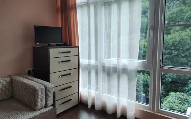 Svirskaya Tishina Guest House