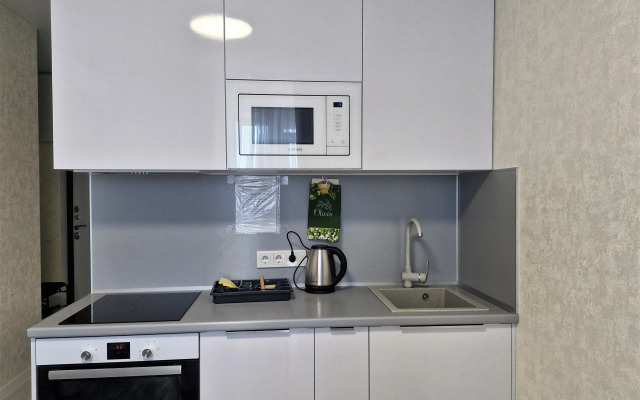Uyutnaya studiya v tsentre na Kargina Apartments